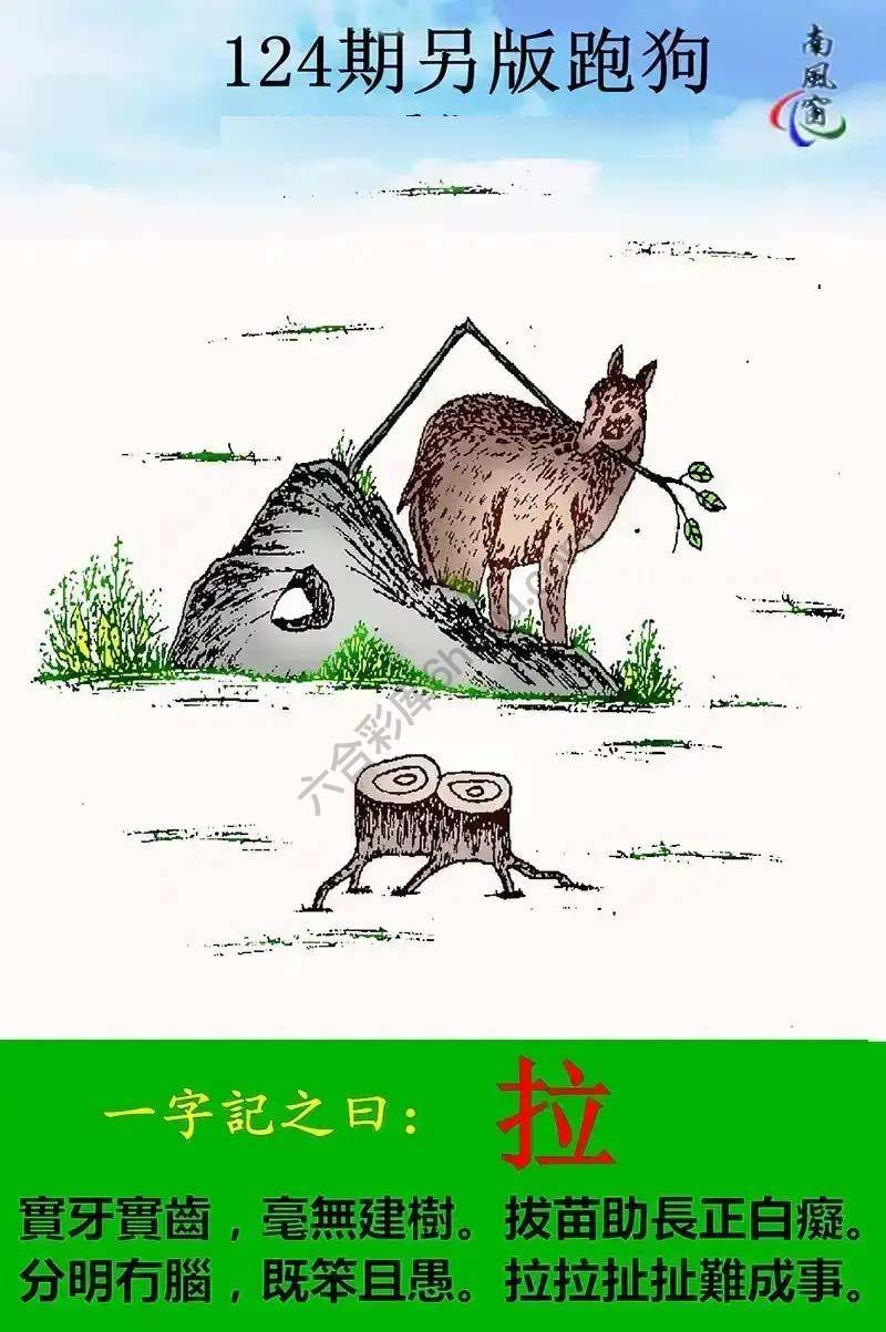 另版跑狗