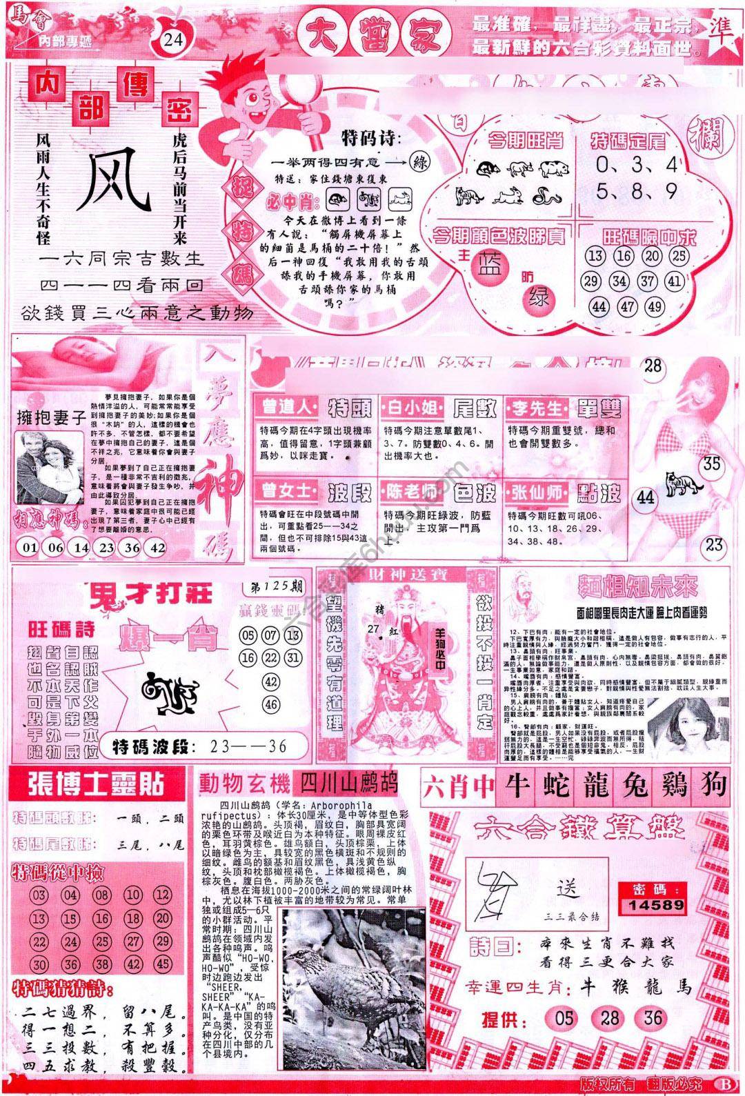 大当家