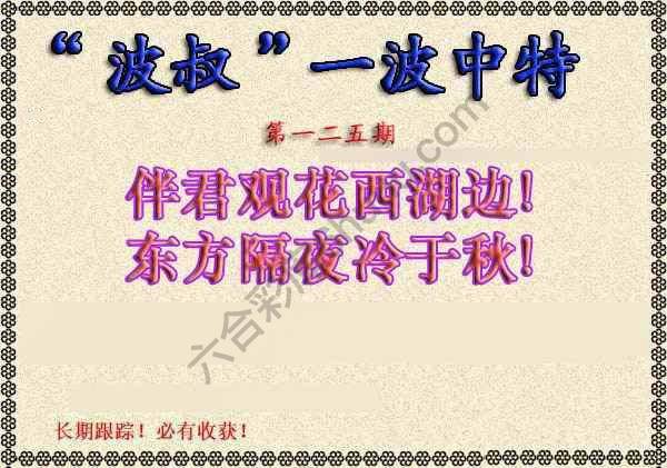 波叔一波中特