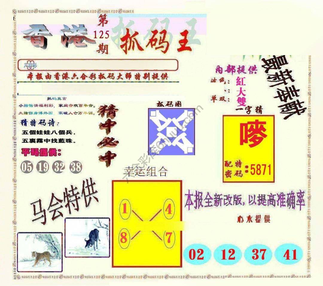 新抓码王