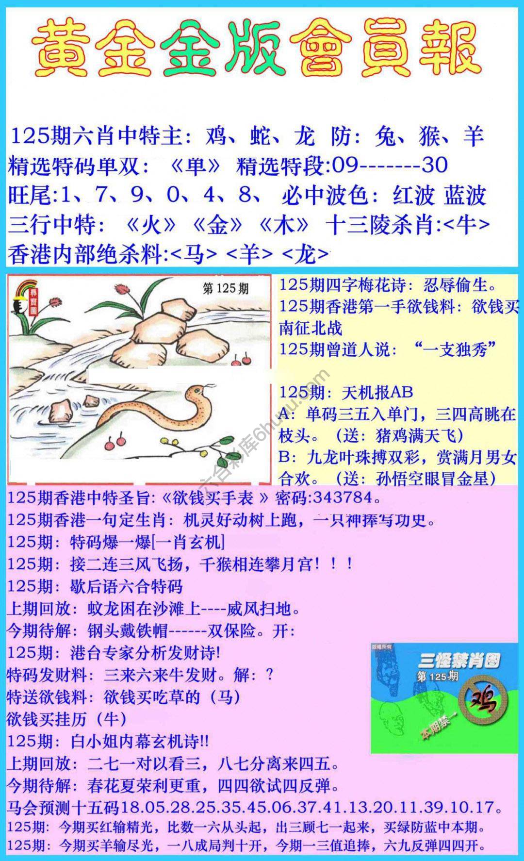 黄金金版会员报