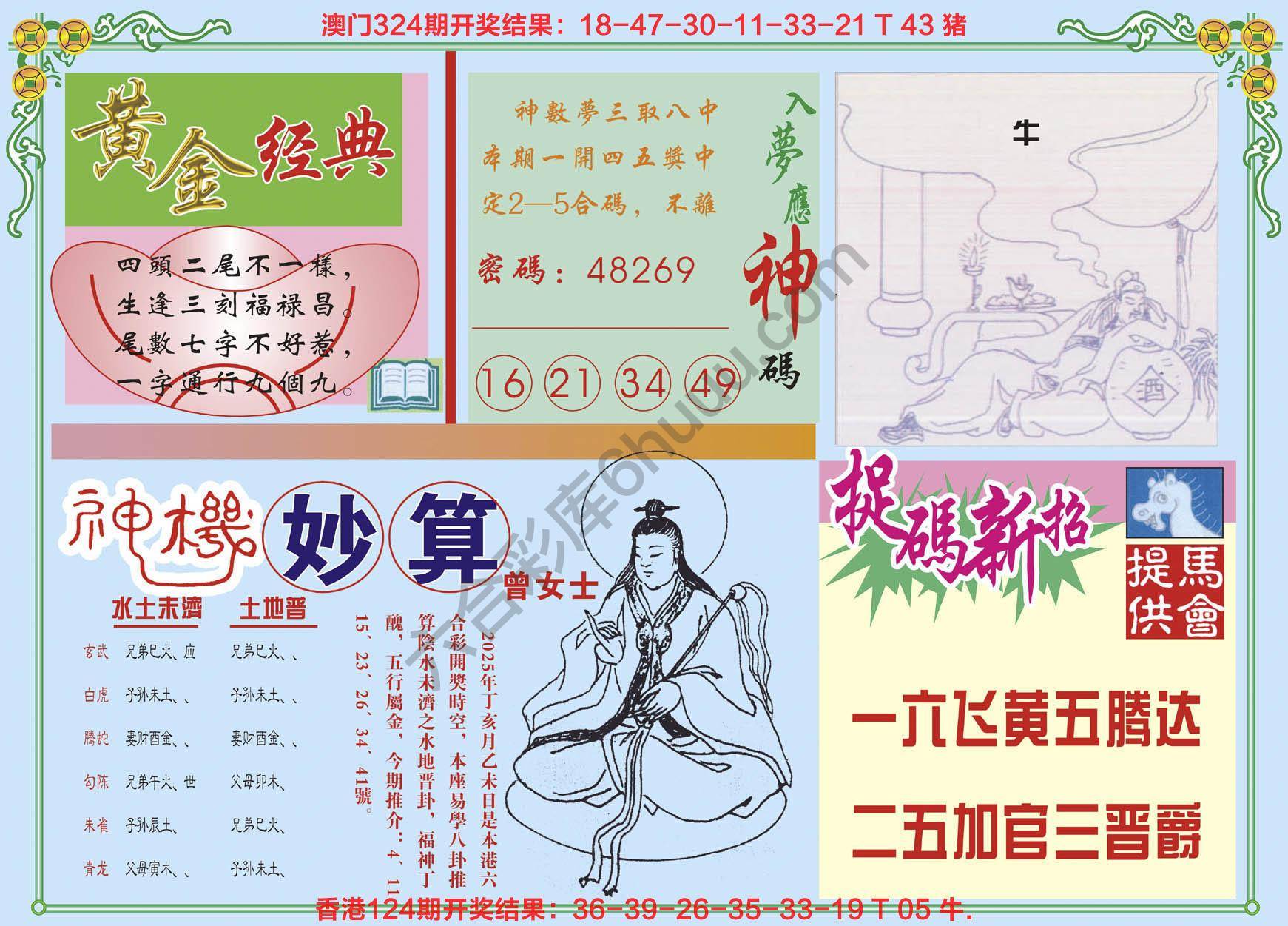 老版曾女士