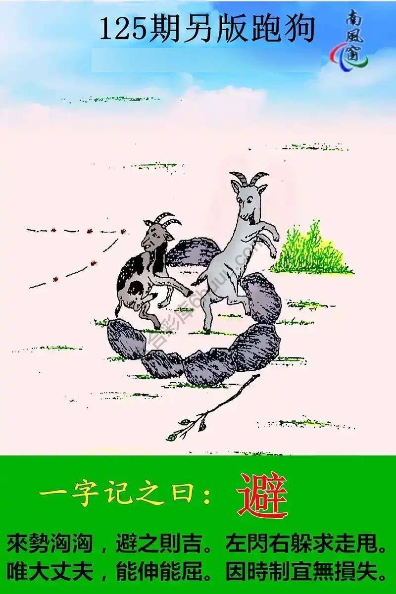 另版跑狗