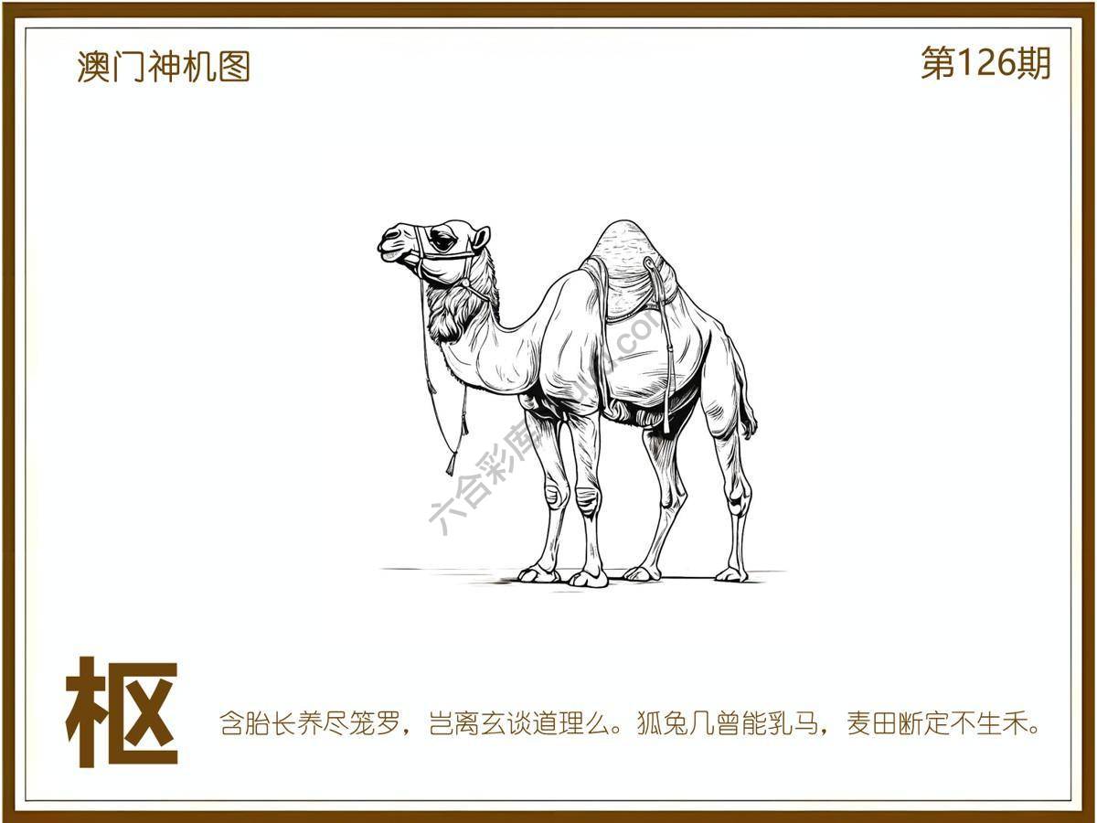澳门神机图