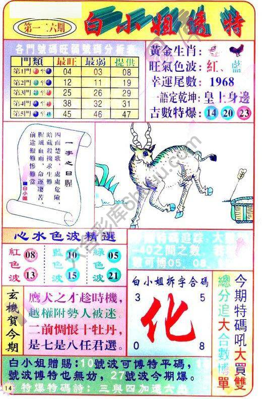 白小姐透特