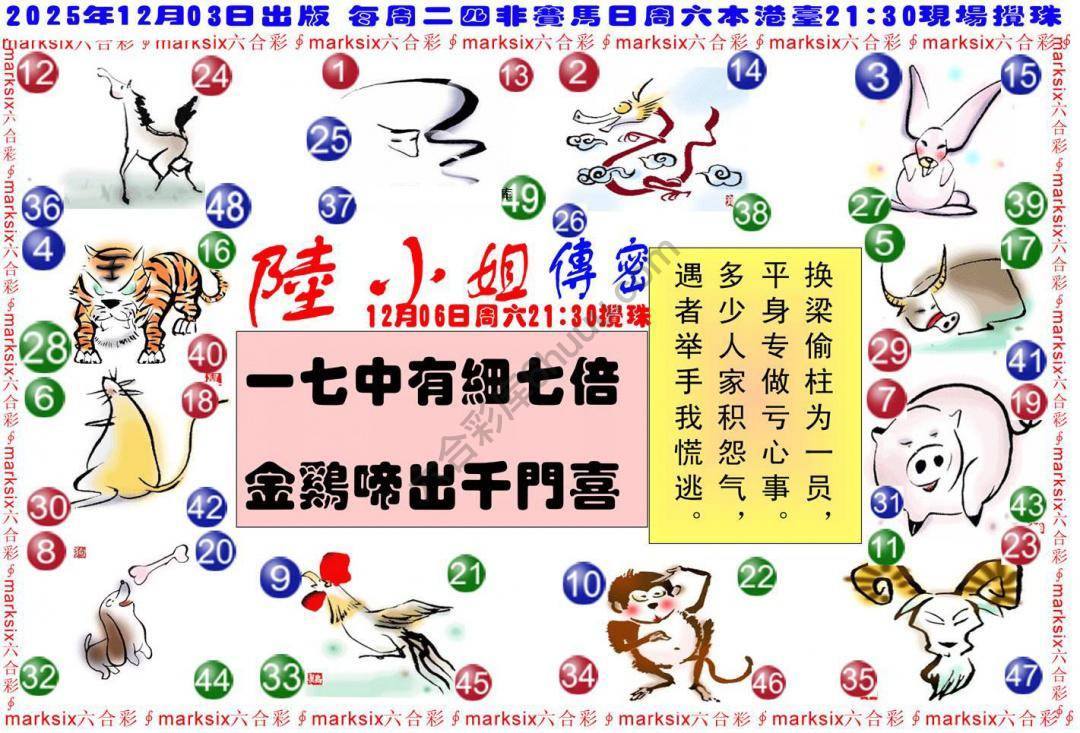 陆小姐传密