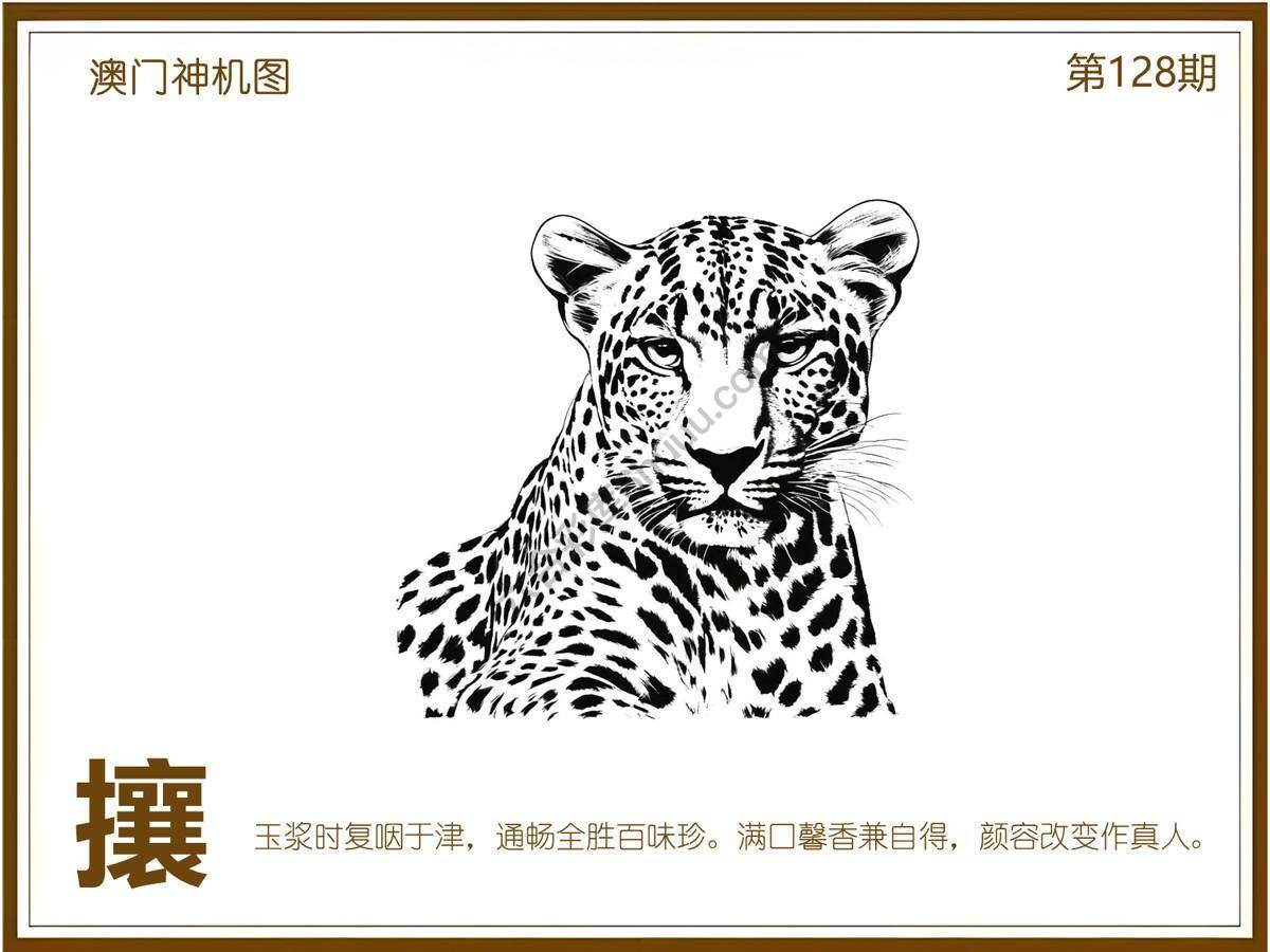 澳门神机图
