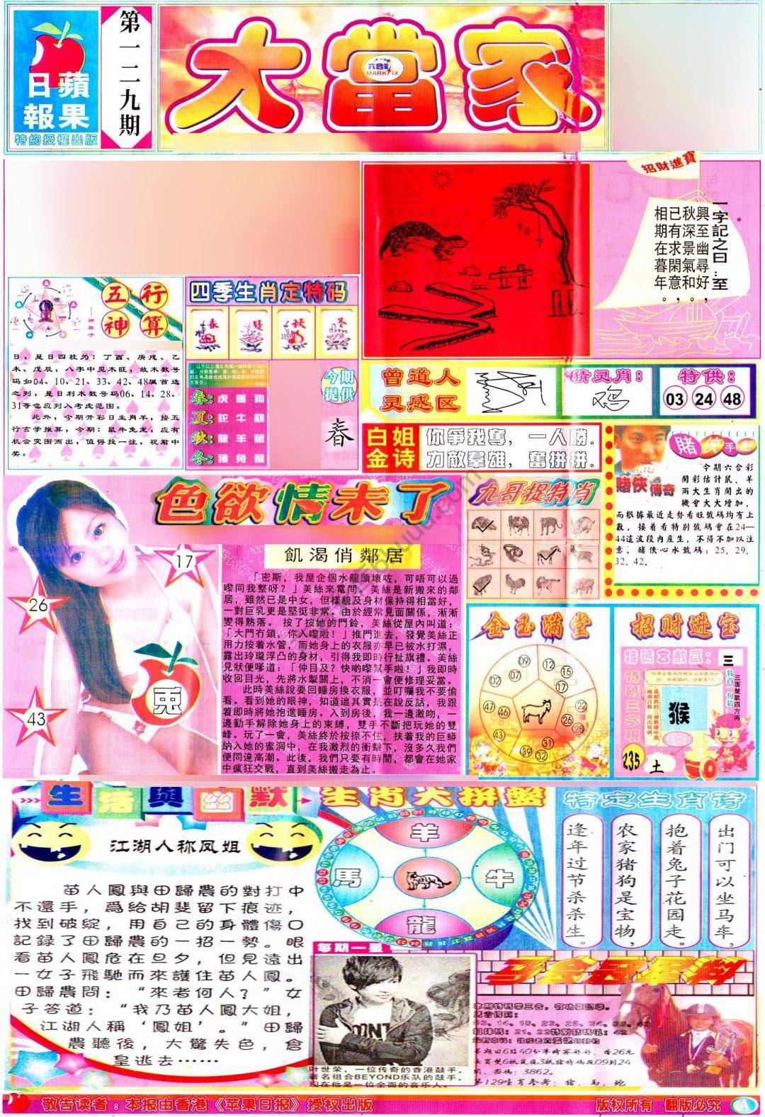 大当家