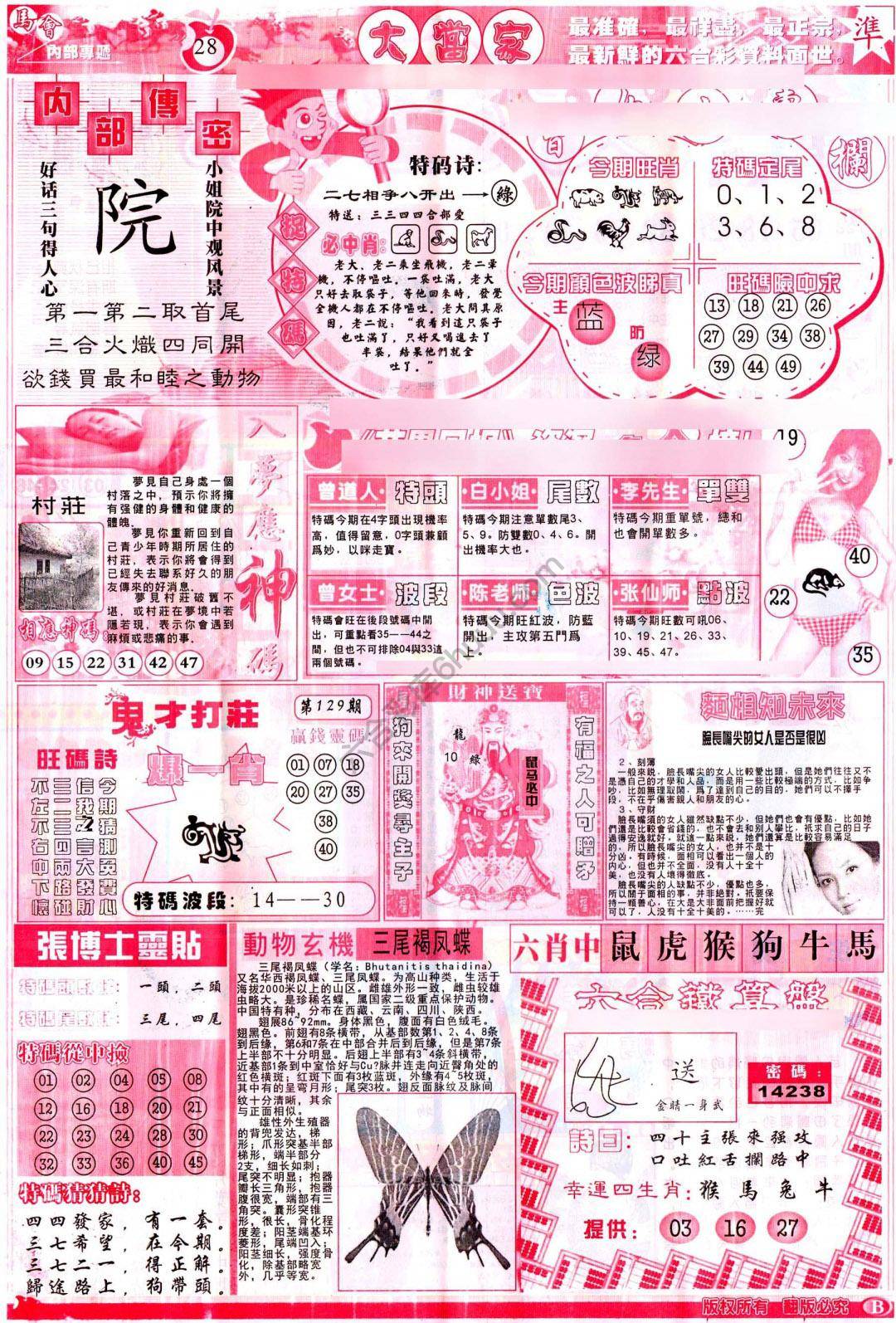 大当家