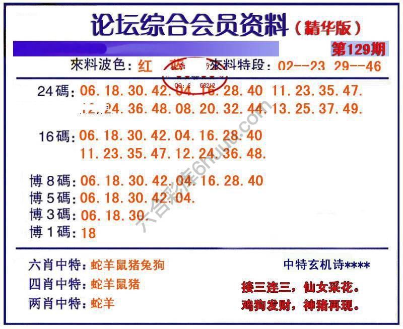 综合会员资料