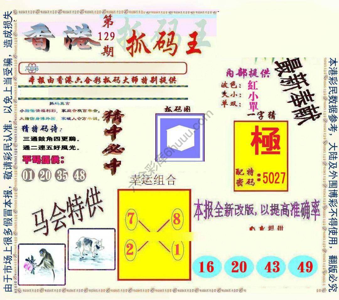 新抓码王