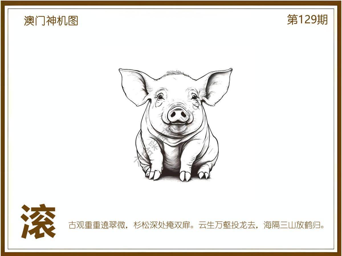 澳门神机图