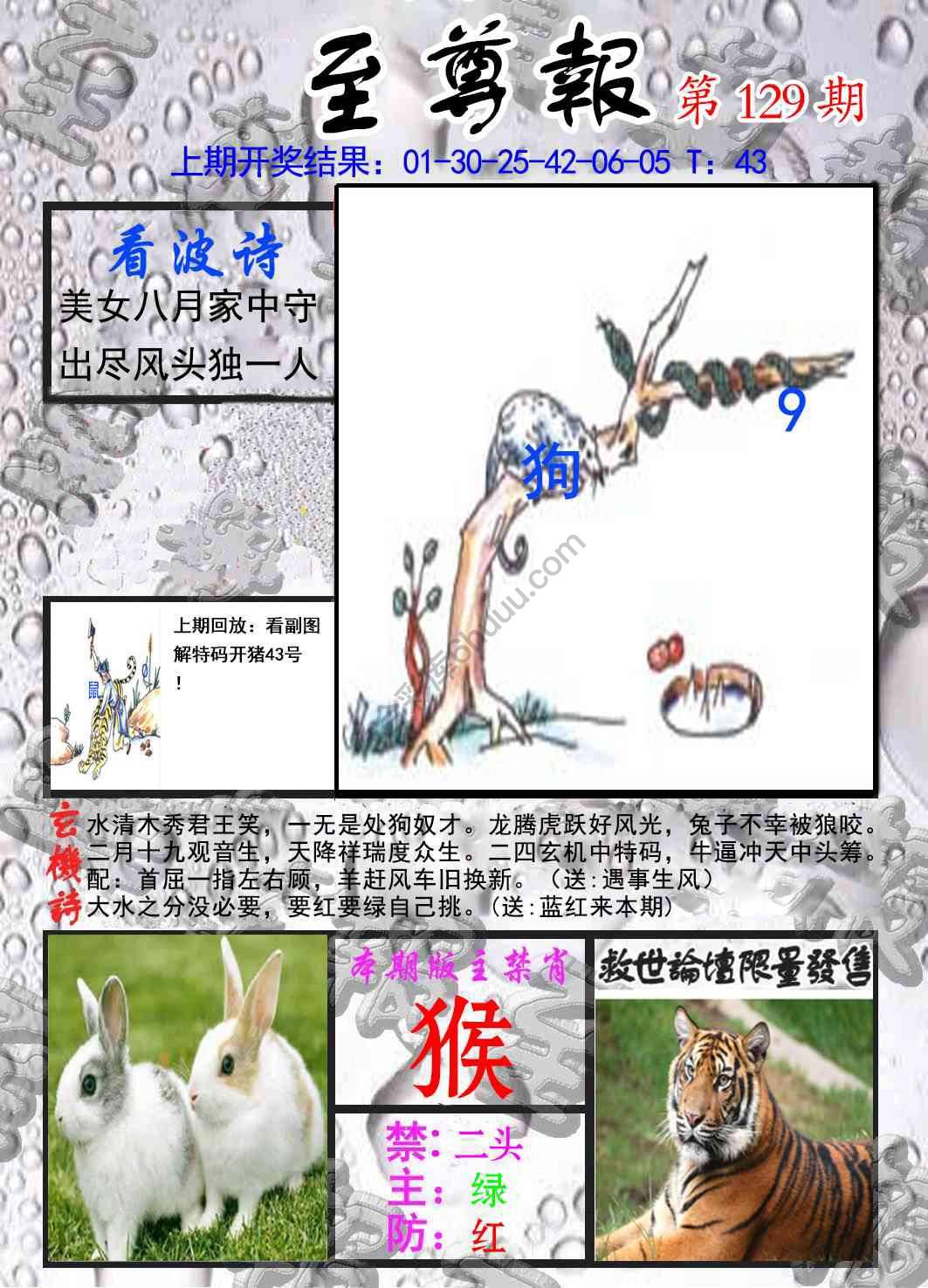 至尊报