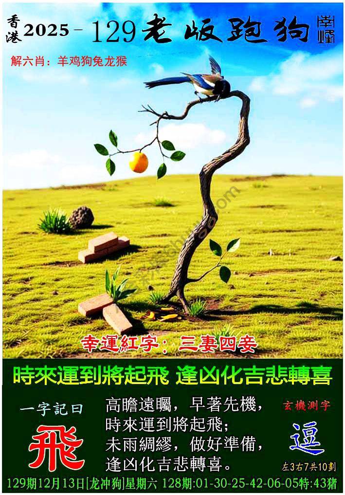 老版跑狗图