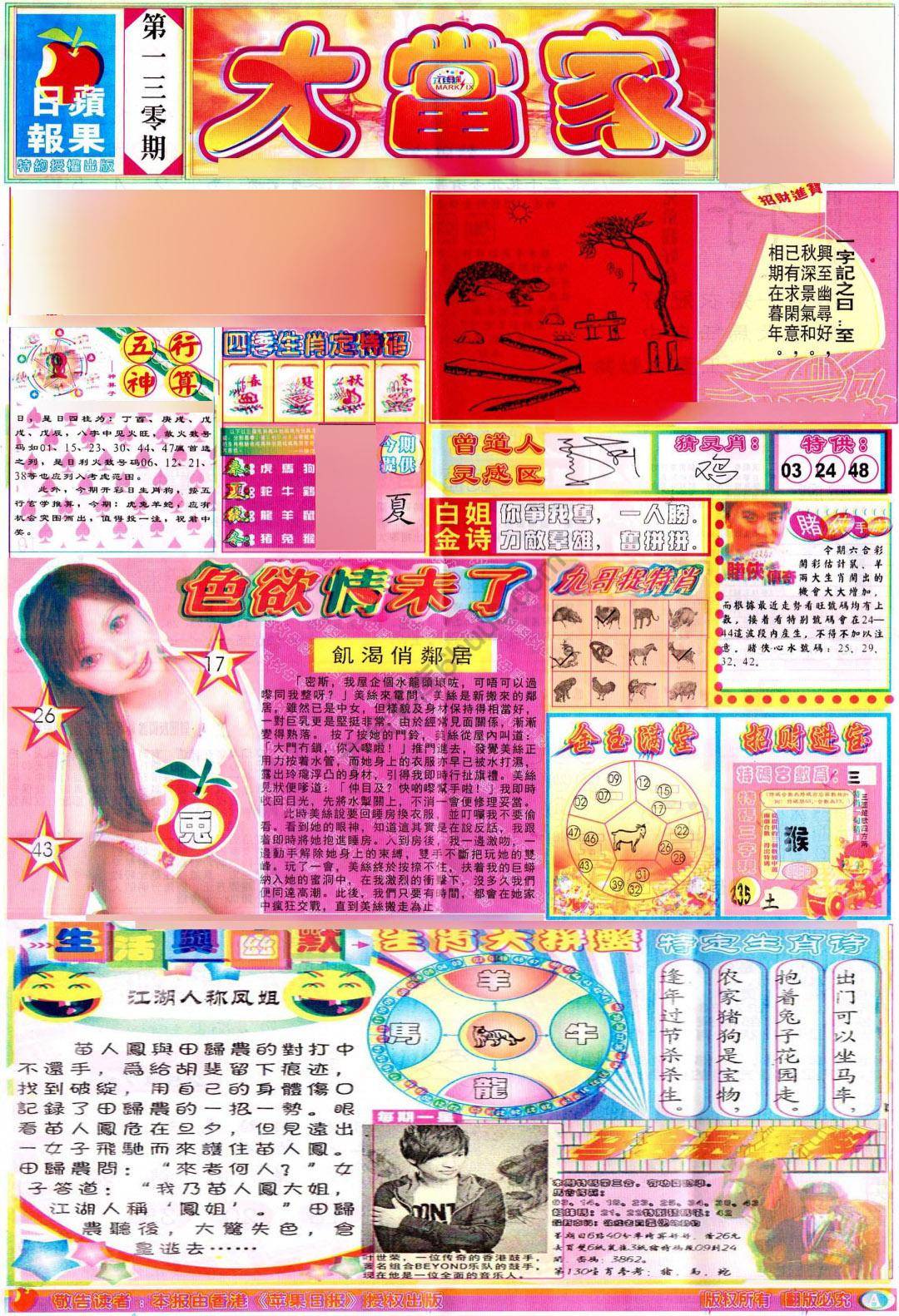 大当家