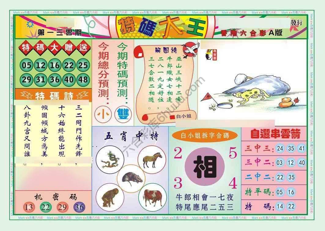 特码大王