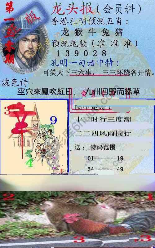 龙头报