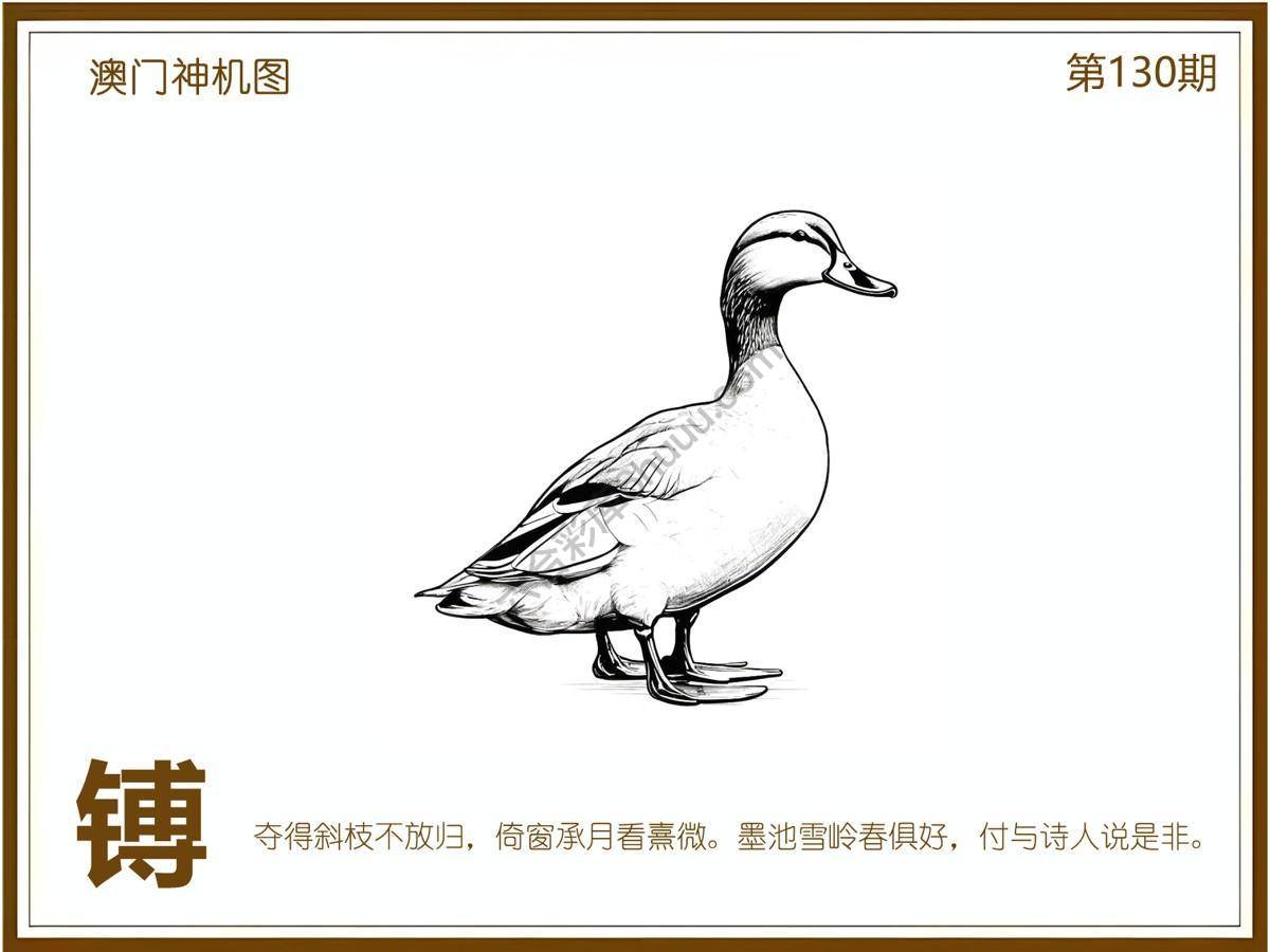 澳门神机图