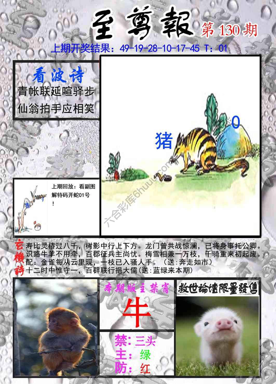 至尊报