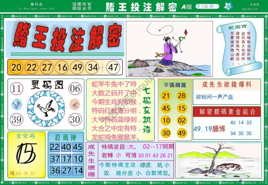 赌王投注解密