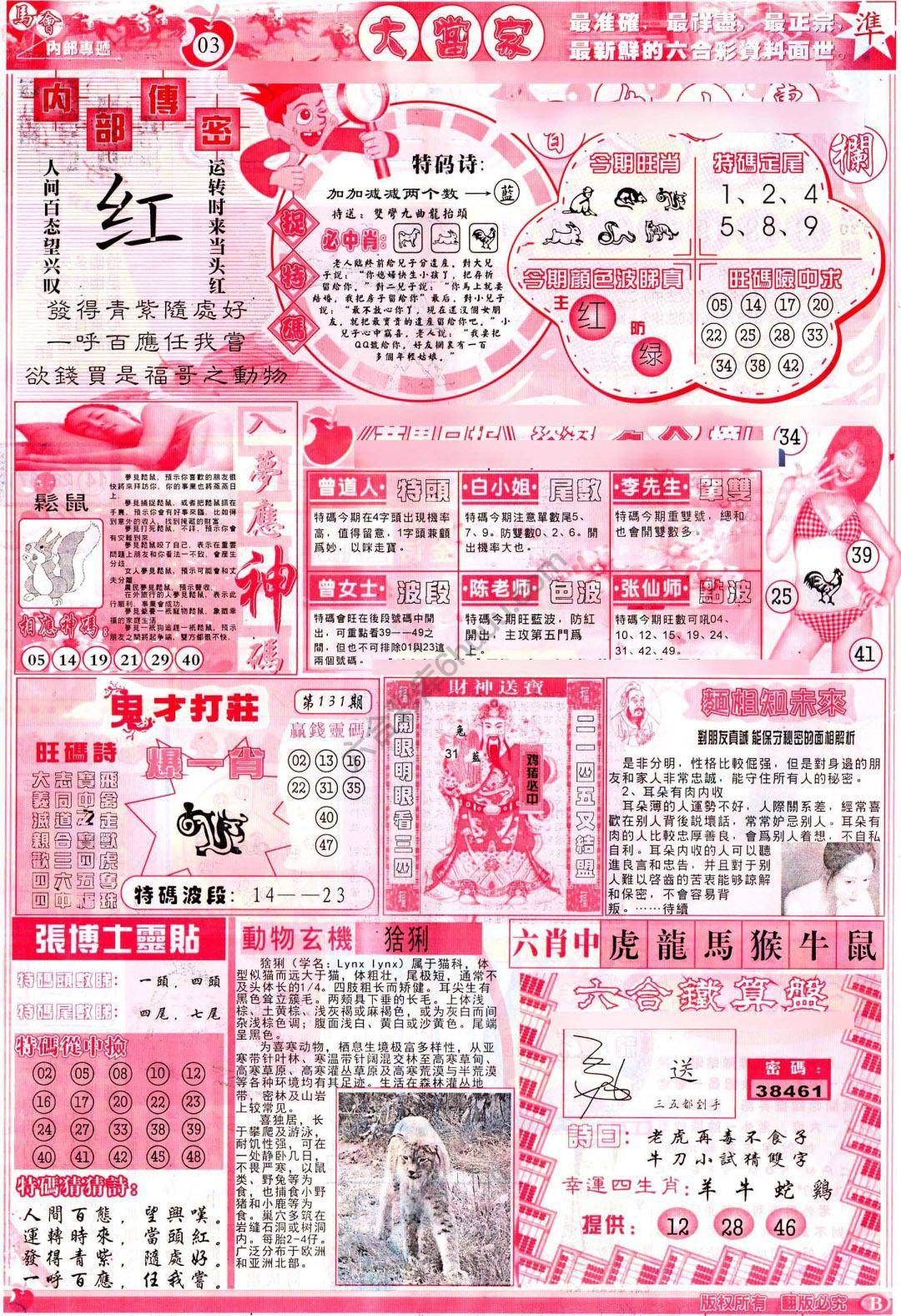 大当家