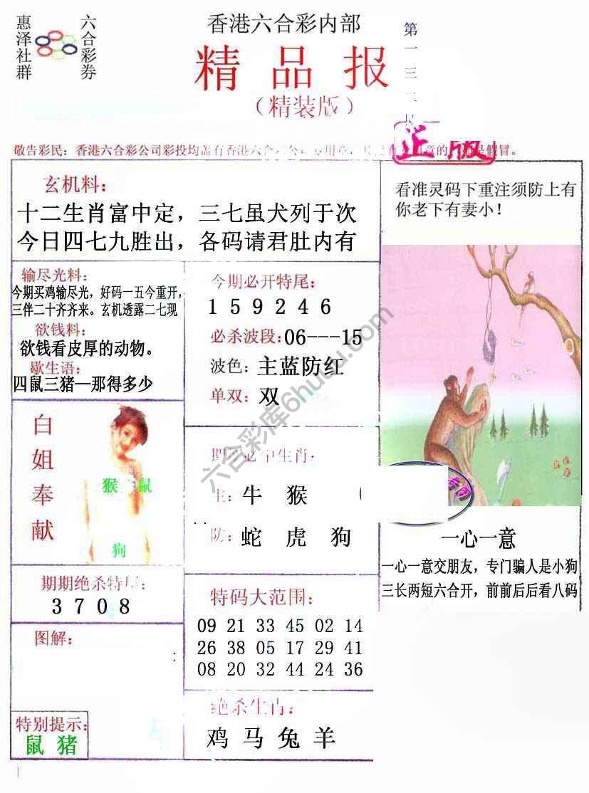 新精品报