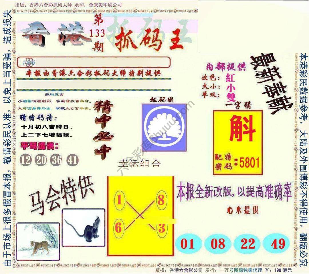 新抓码王