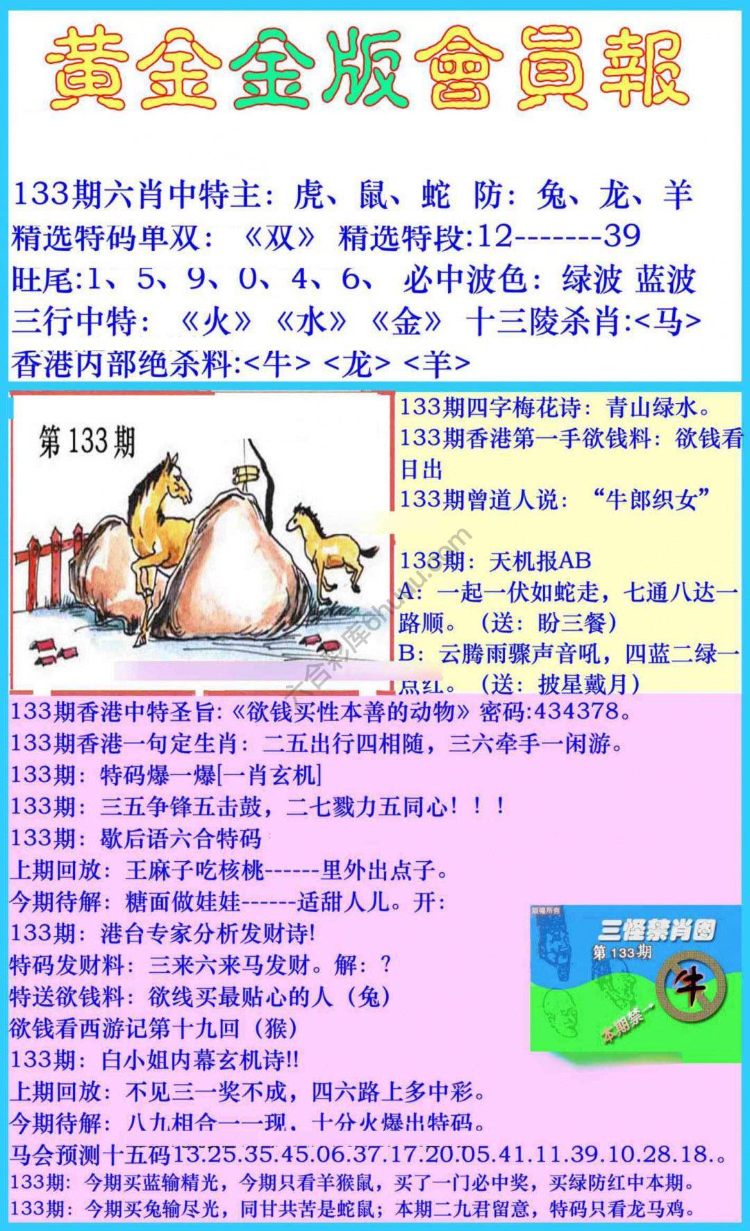 黄金金版会员报