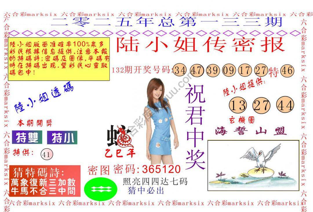陆小姐传密