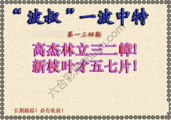 波叔一波中特
