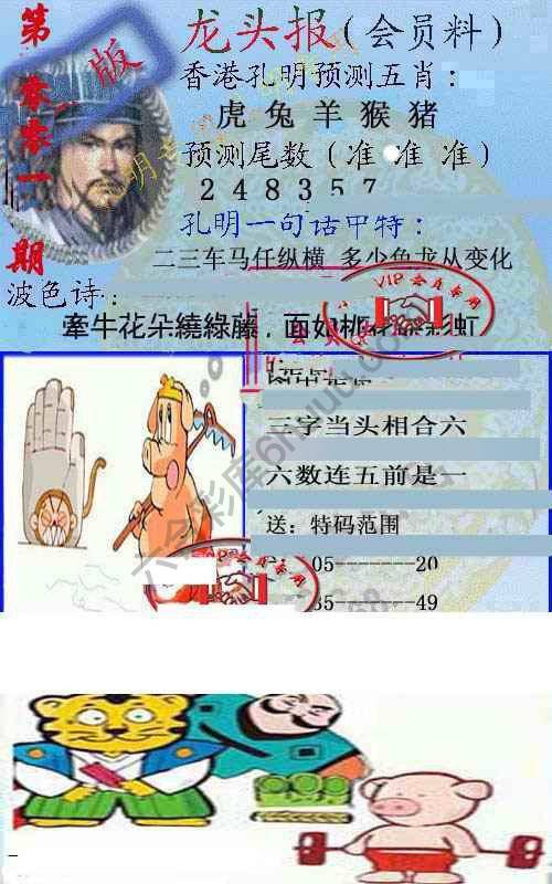 龙头报