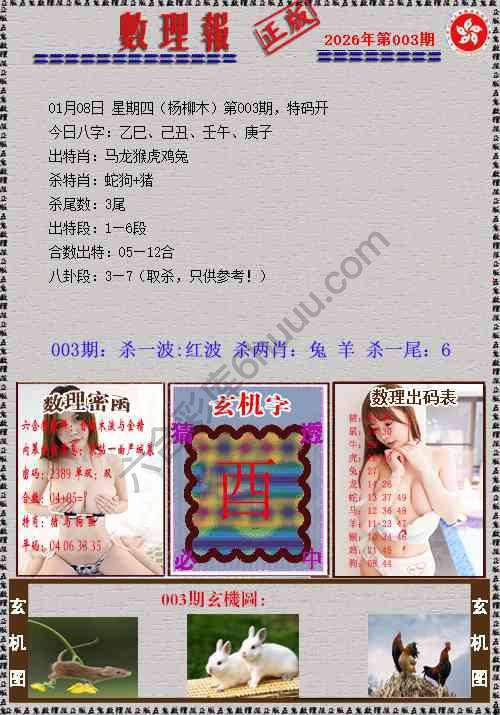 数理报