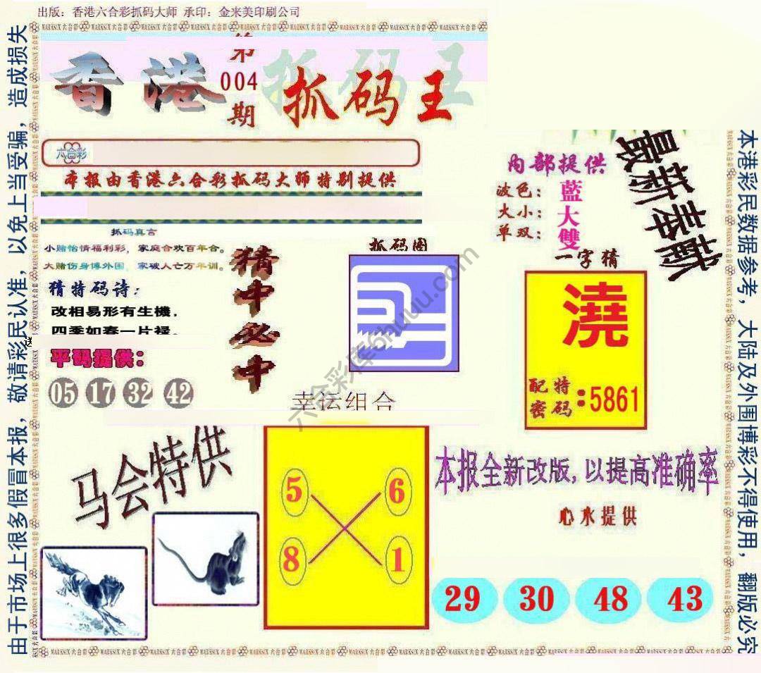 新抓码王