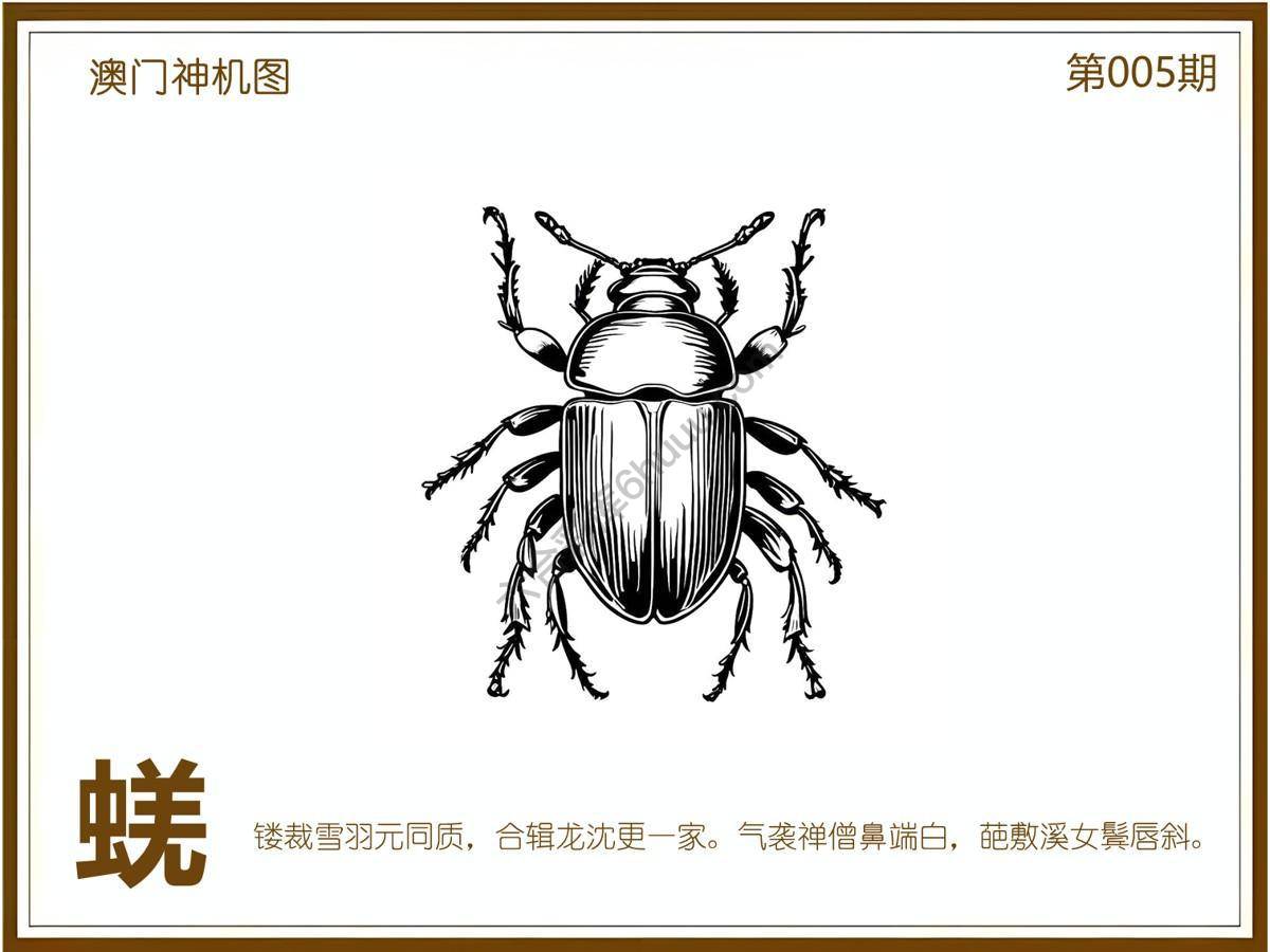 澳门神机图