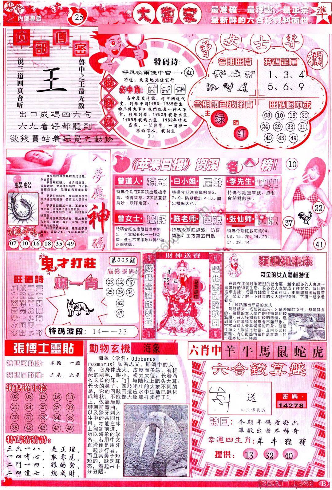 大当家