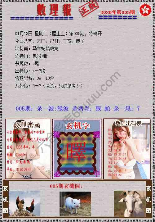 数理报
