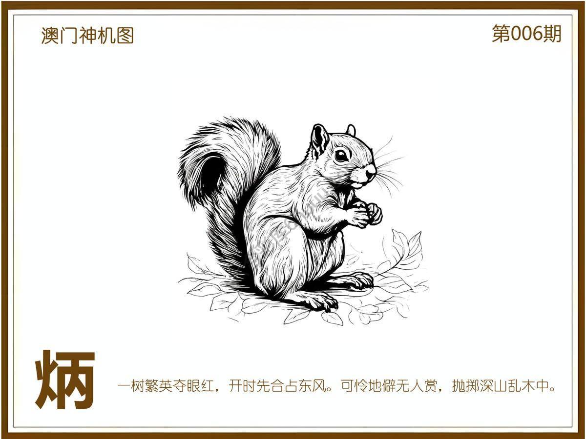 澳门神机图
