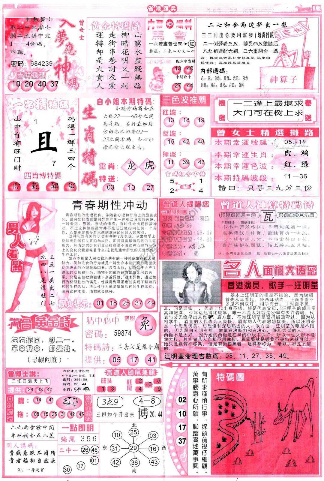 省港旗兵