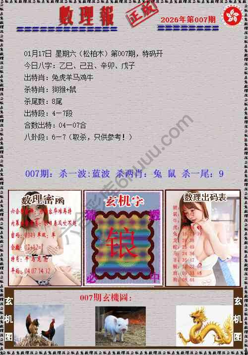 数理报