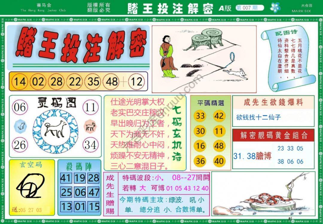 赌王投注解密
