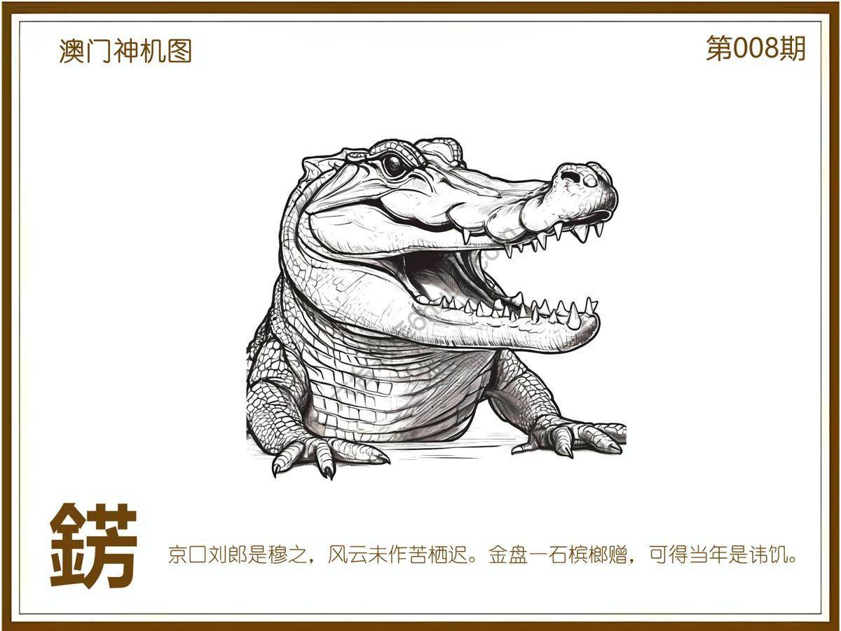 澳门神机图