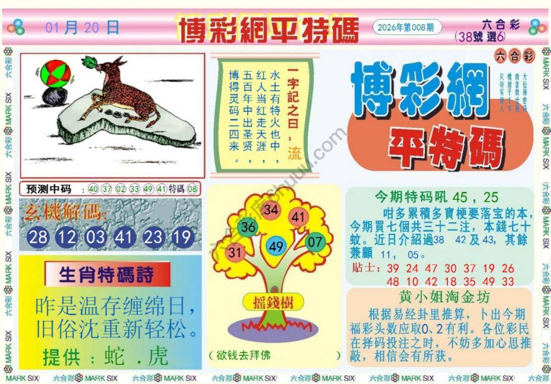 博彩网平特码