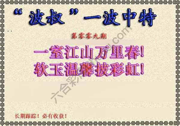 波叔一波中特