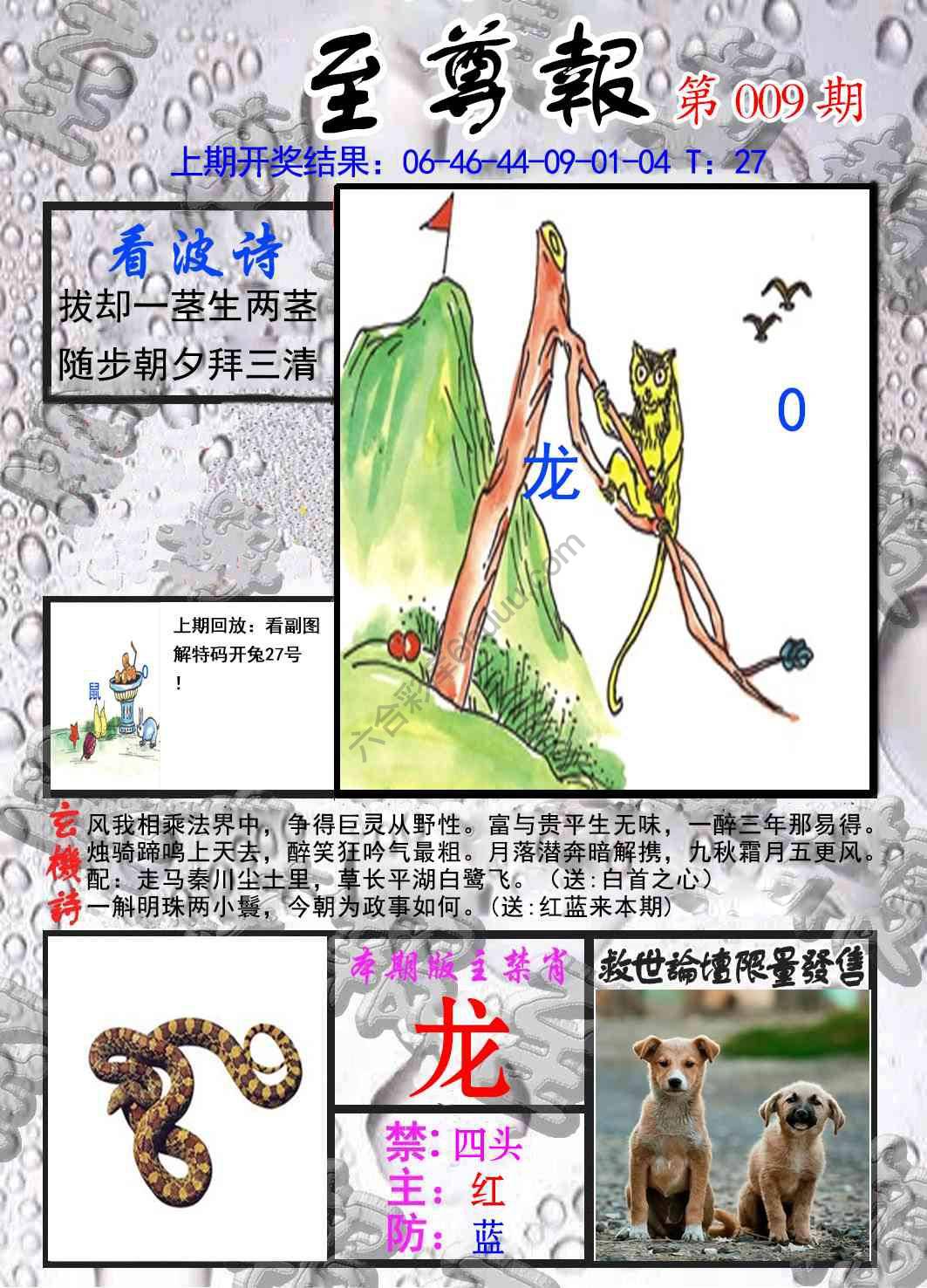 至尊报