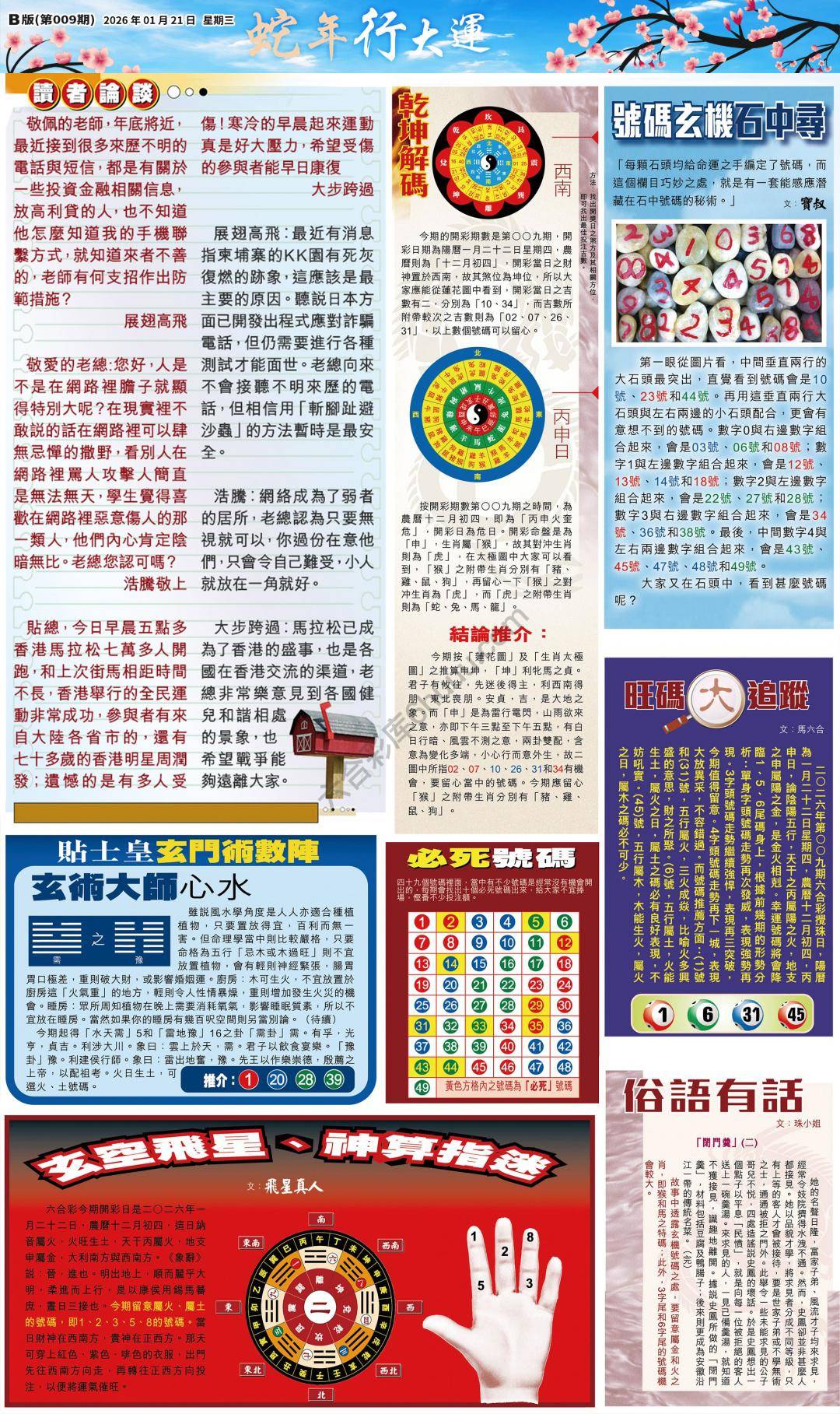 大版贴士皇