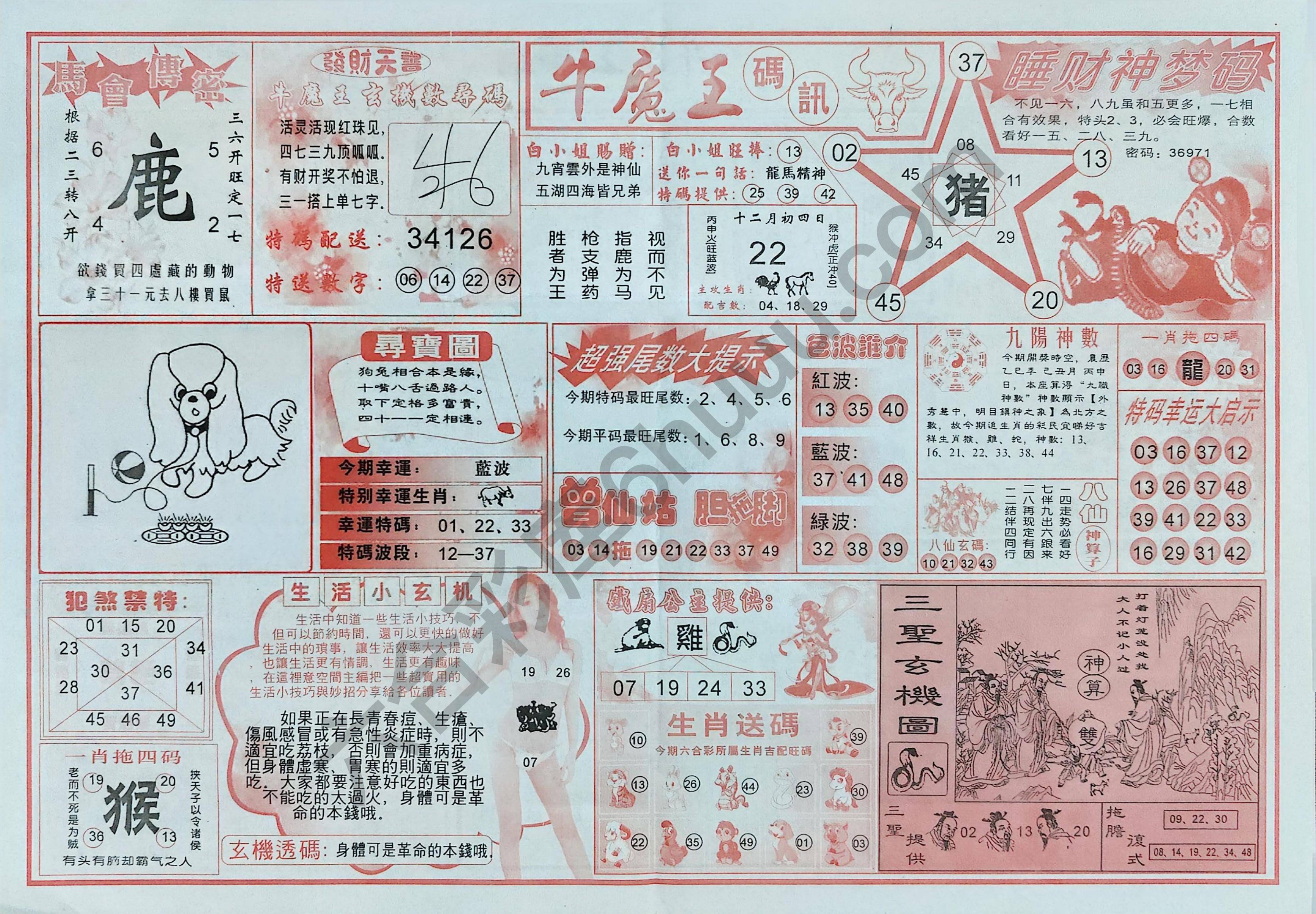 牛魔王码讯