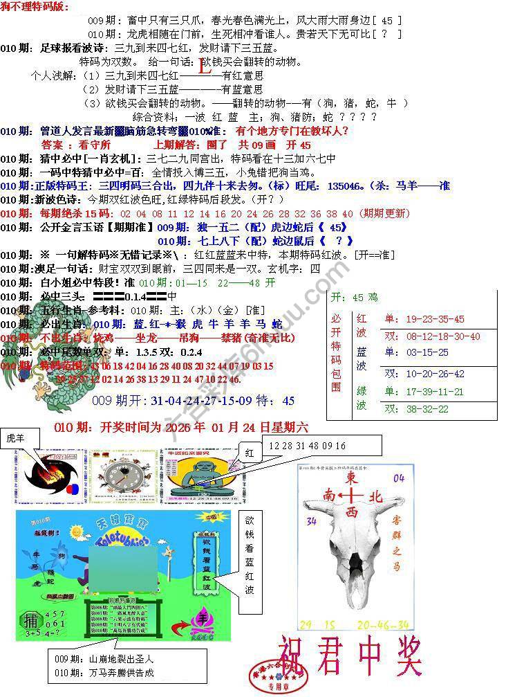 青龙五鬼报