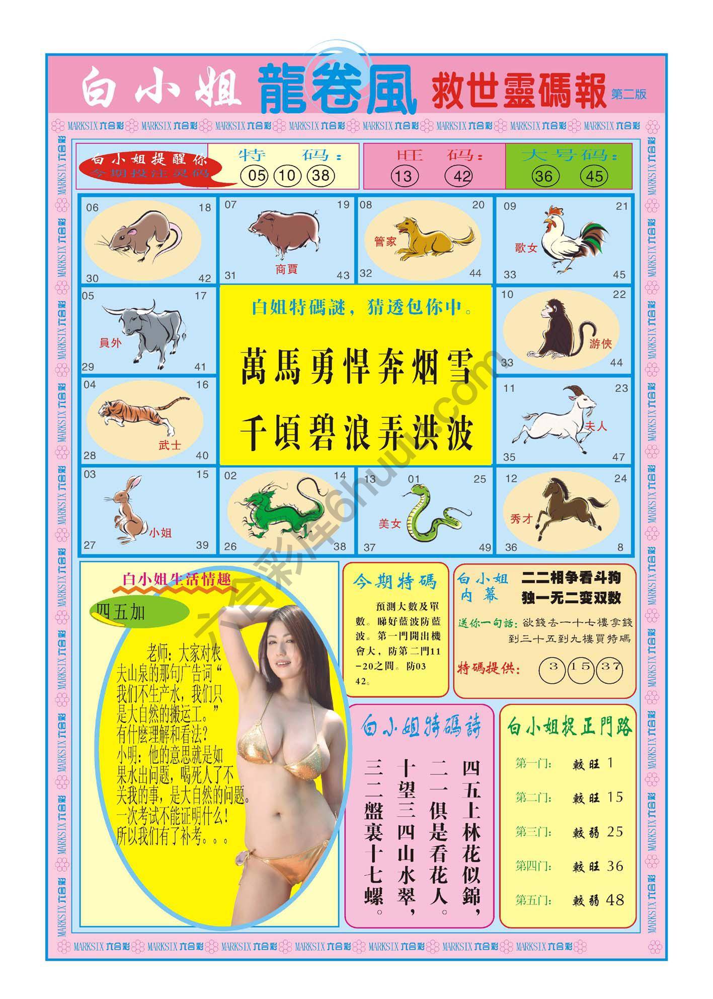 白小姐龙卷风