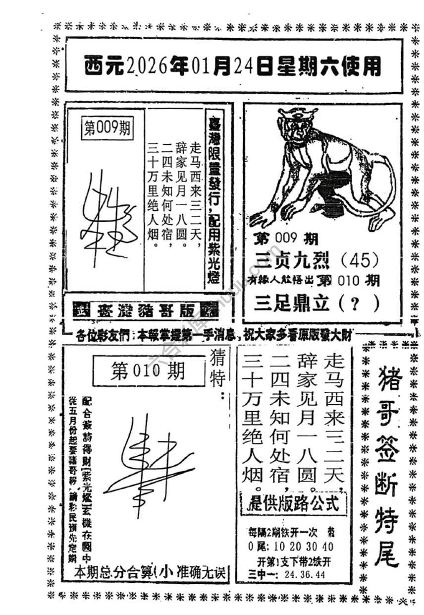 猪哥签断特尾