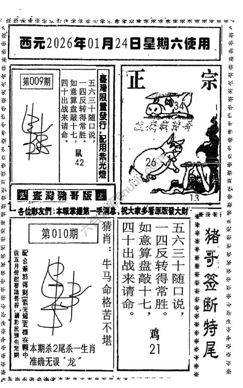 猪哥签断特尾